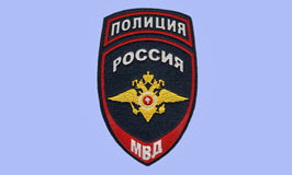 В Красногорске полицейские задержали подозреваемого в краже электроинструмента