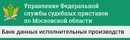 Управление Федеральной службы судебных приставов по Московской области. Банк данных исполнительных производств