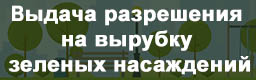 Выдача разрешения на вырубку зеленых насаждений – порубочного билета