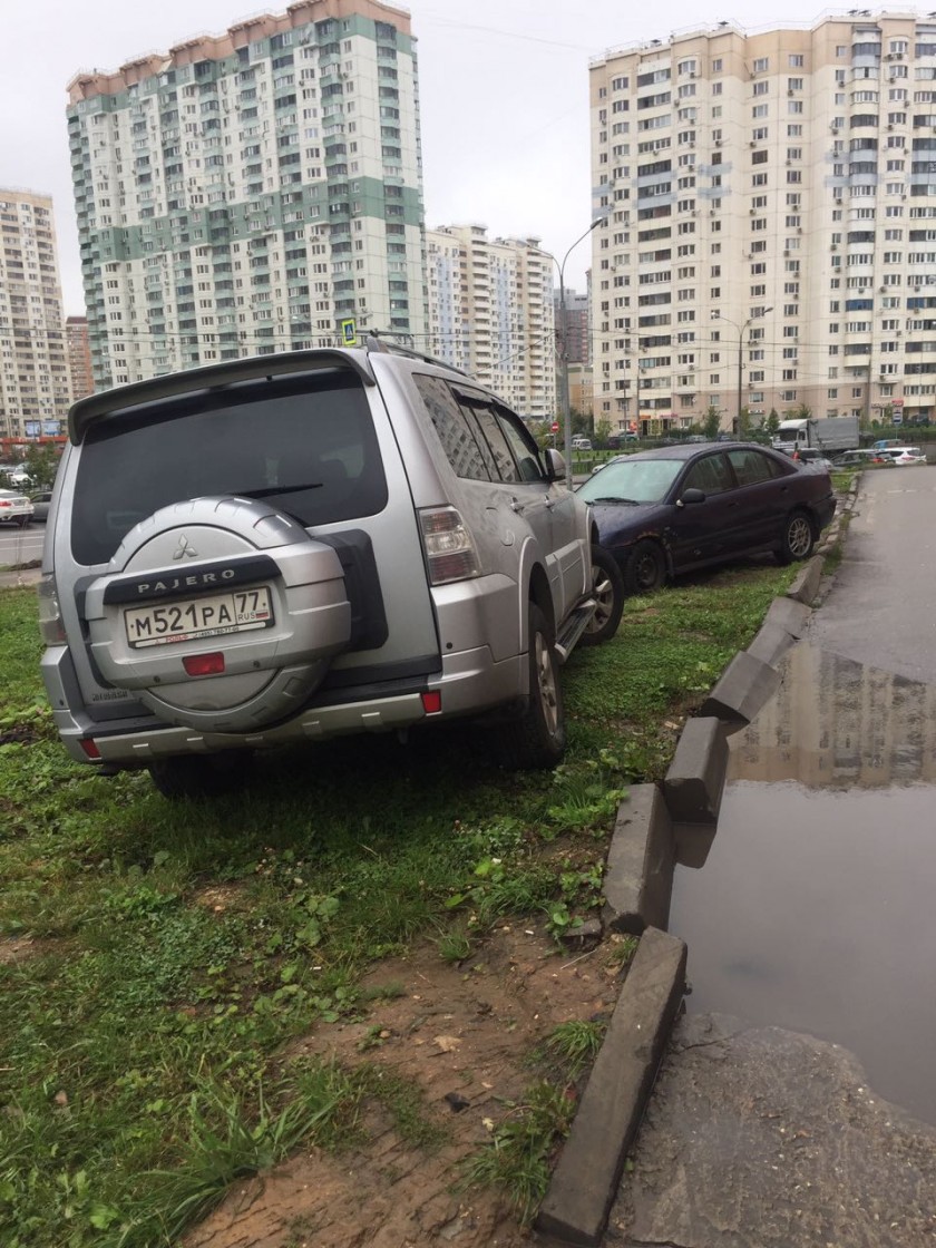В Павшинской пойме выявили нарушения правил парковки и незаконную свалку