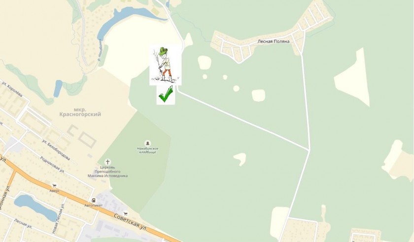 Адреса акции «Наш лес. Посади свое дерево» нанесены на интерактивную карту